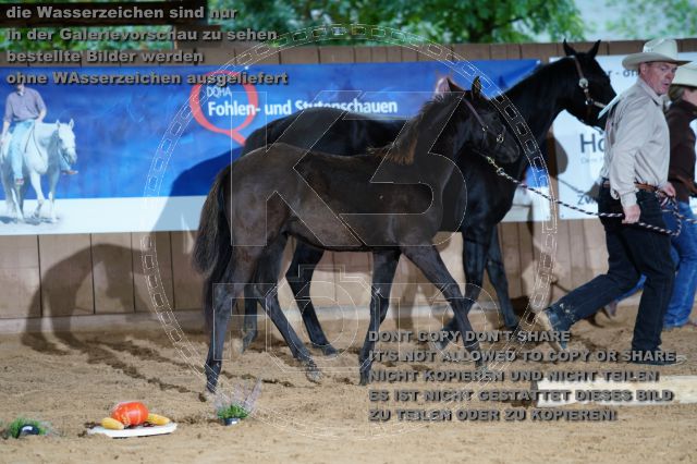 s_K3F04817.JPG